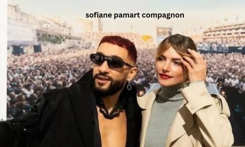 Sofiane Pamart compagnon